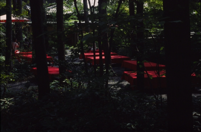 京都ポタの風景ー金閣寺・竜安寺・仁和寺ー_f0073398_21121892.jpg