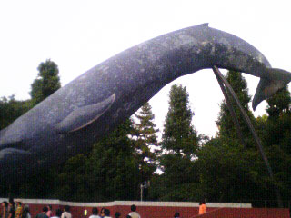f0008505_14358.jpg