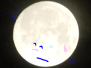 d0002224_2233424.gif