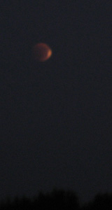 c0024729_2140336.jpg