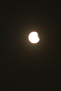 c0024729_21423158.jpg