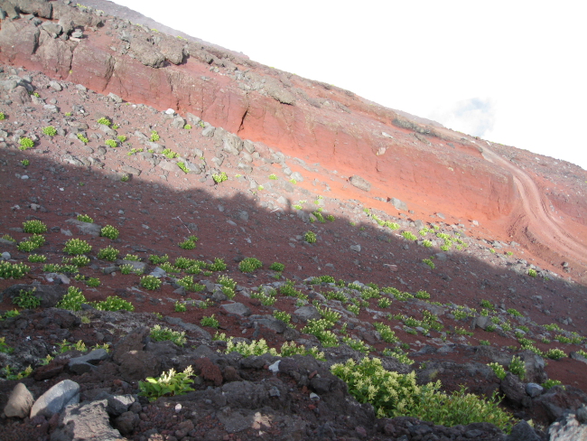 c0124029_22371364.jpg