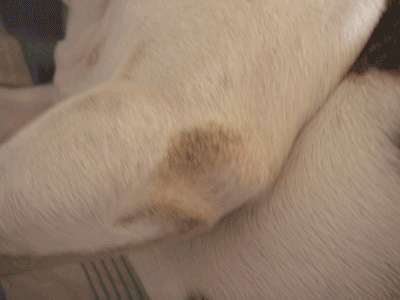 e0008833_20424631.gif