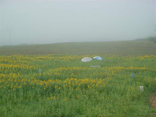 b0102639_16515419.jpg