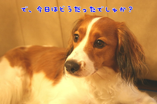 d0013149_232165.jpg