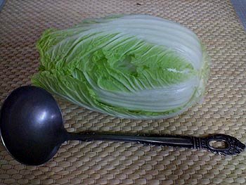 ☆芽キャベツ~~と色々野菜☆_c0092953_332392.jpg