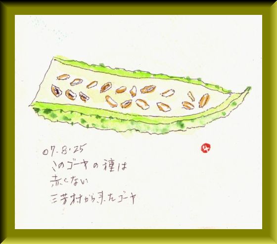 ゴーヤーの種_e0074955_17481920.jpg