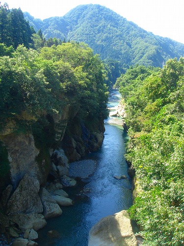 c0119160_212658.jpg