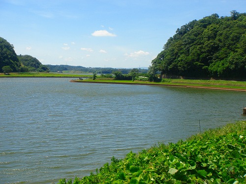 c0119160_22283119.jpg