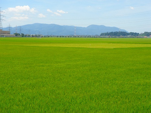 c0119160_22365445.jpg