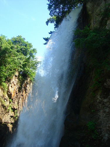 c0119160_229540.jpg