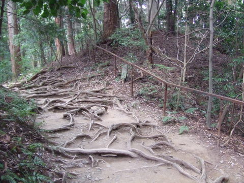 c0107861_16474074.jpg