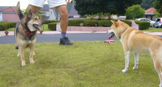 8月28日(火)・・・朝6時だよ、全員集合!_f0060461_148127.jpg