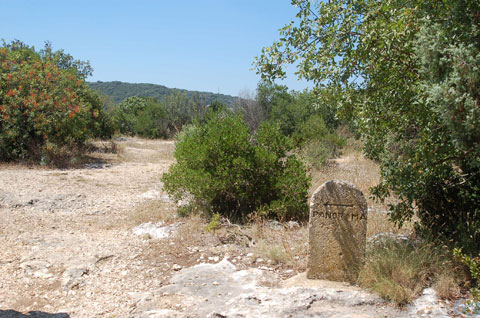 南仏にあるローマ帝国の遺産☆_d0085274_74295.jpg