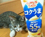 c0126176_11304141.jpg