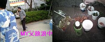 c0095091_12112451.jpg