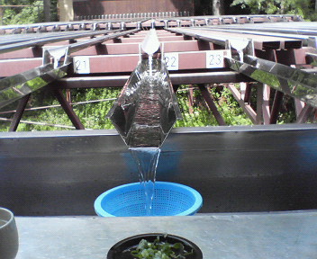 c0109891_11554015.jpg