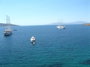 f0058691_67163.jpg