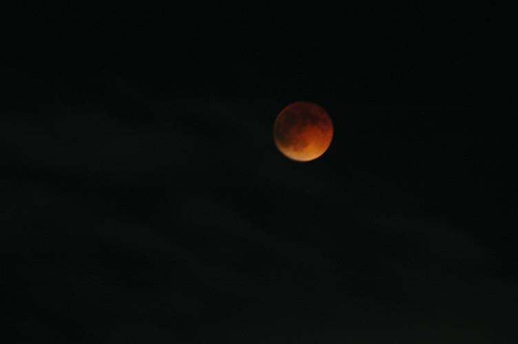a0092804_041837.jpg