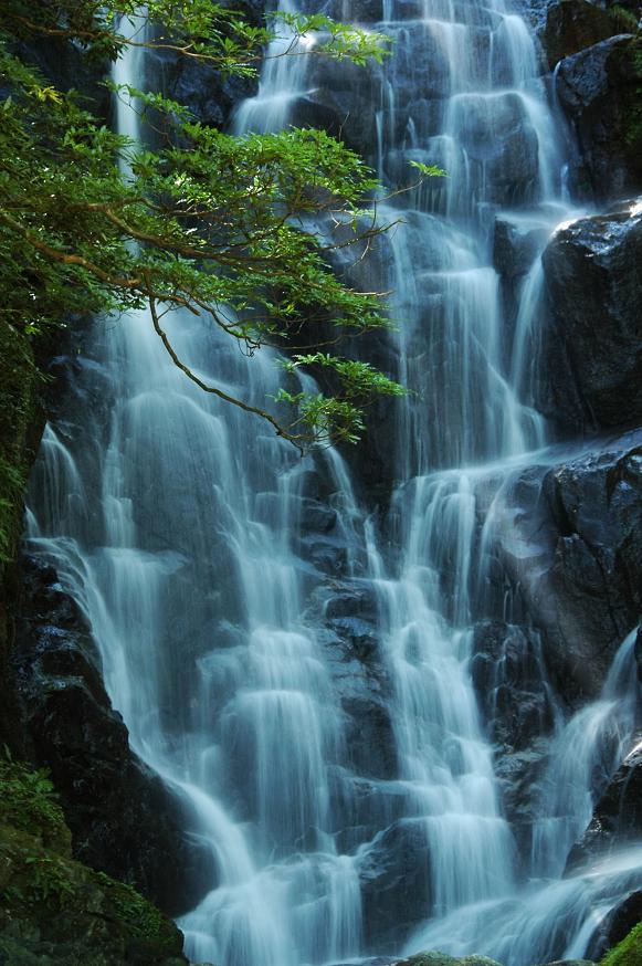 白糸の滝(福岡県前原市)_a0042310_16342036.jpg