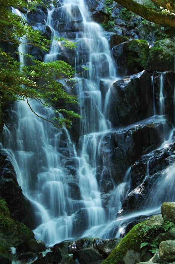 白糸の滝(福岡県前原市)_a0042310_16343887.jpg