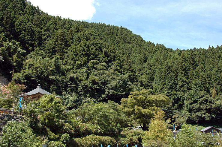 白糸の滝(福岡県前原市)_a0042310_16371839.jpg