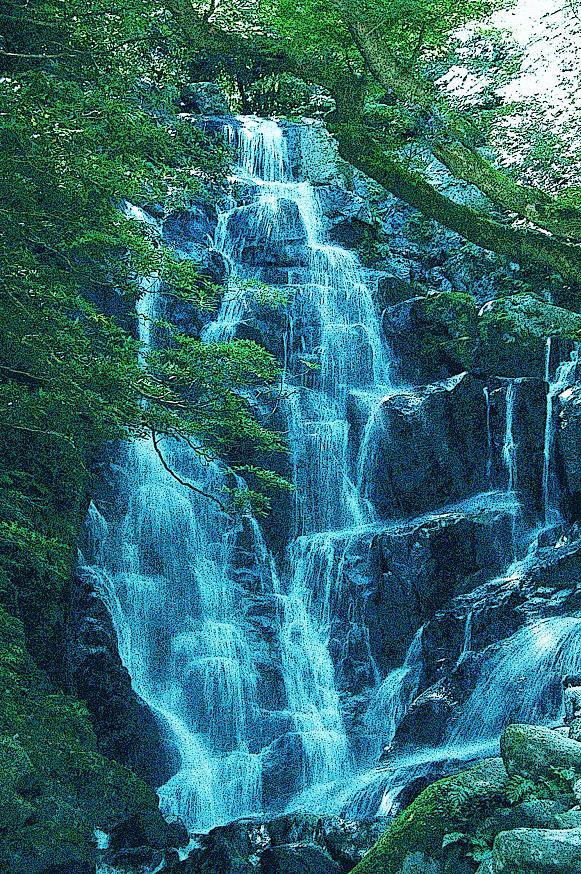 白糸の滝(福岡県前原市)_a0042310_16421841.jpg