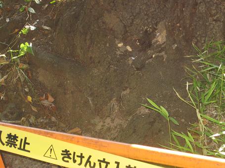 b0087914_0225155.jpg