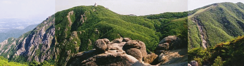 c0030724_032440.gif