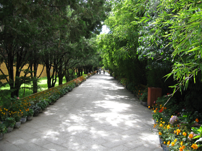 e0110940_1275968.jpg