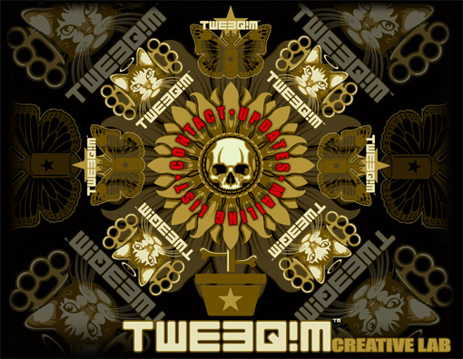 Tweeqimについての問合せを方々からいただいてます。_a0077842_185126.jpg