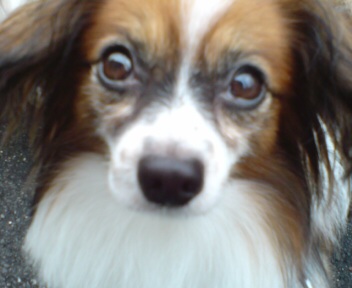 e0100046_18165399.jpg