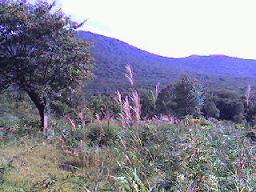 d0036951_26963.jpg