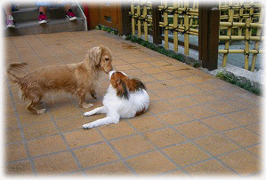 c0025852_91756.gif