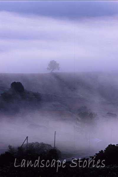 e0083559_0413285.jpg