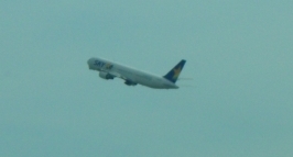 f0011960_11162413.jpg