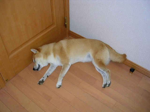 8月29日(水)占い師、細腕愛子先生の登場!②_f0060461_1214177.jpg