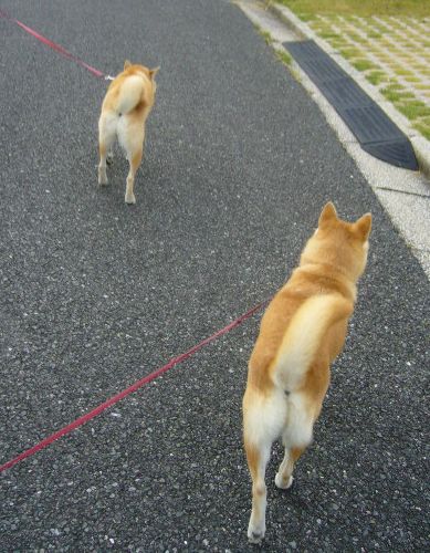 8月29日(水)占い師、細腕愛子先生の登場!②_f0060461_1264363.jpg