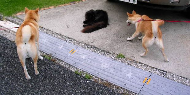 8月29日(水)占い師、細腕愛子先生の登場!②_f0060461_1354573.jpg