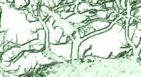 d0083265_2285864.jpg