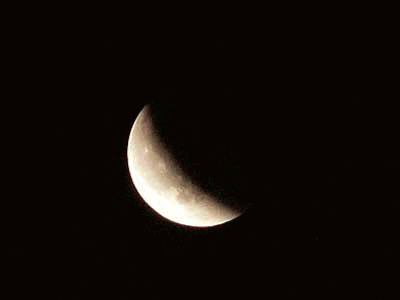f0104569_0375875.gif