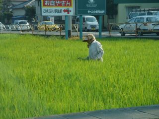 2007年8月29日 もう8月おわっちゃう~~~ _b0098584_2030591.jpg