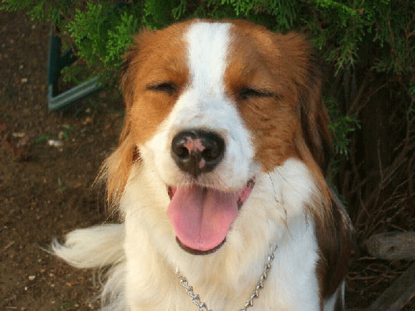 c0075585_0311220.gif