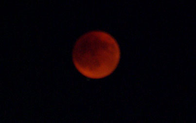 e0049286_210062.jpg