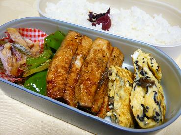 さんまの照り焼き弁当_d0118493_1341739.jpg