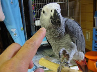 c0118496_22253715.jpg