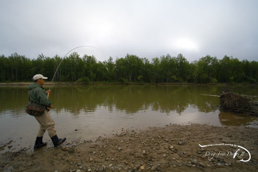 f0085599_1181569.jpg