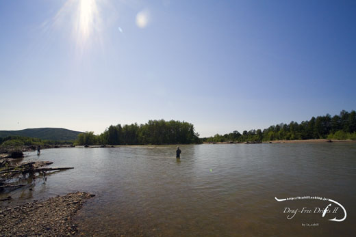 f0085599_1192937.jpg