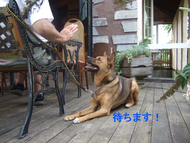 b0087400_1321.jpg