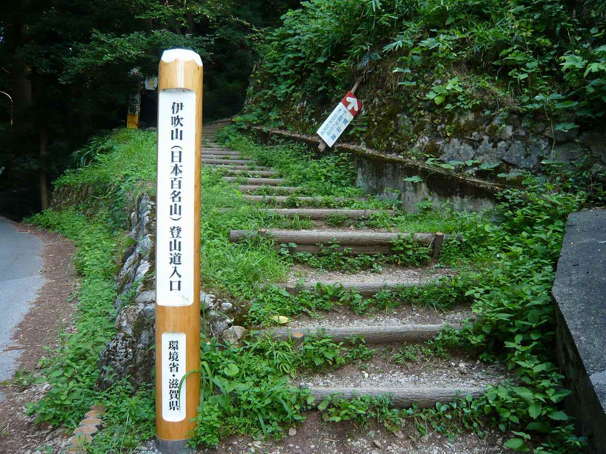 炎天下の伊吹山登山_e0110500_21302347.jpg